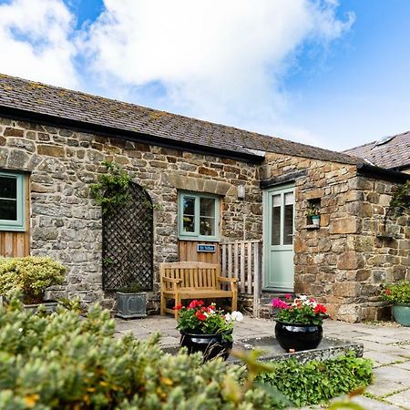 Cwm Connell Coastal Cottages Moylgrove Eksteriør bilde